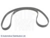 LANCIA 55264509 Timing Belt